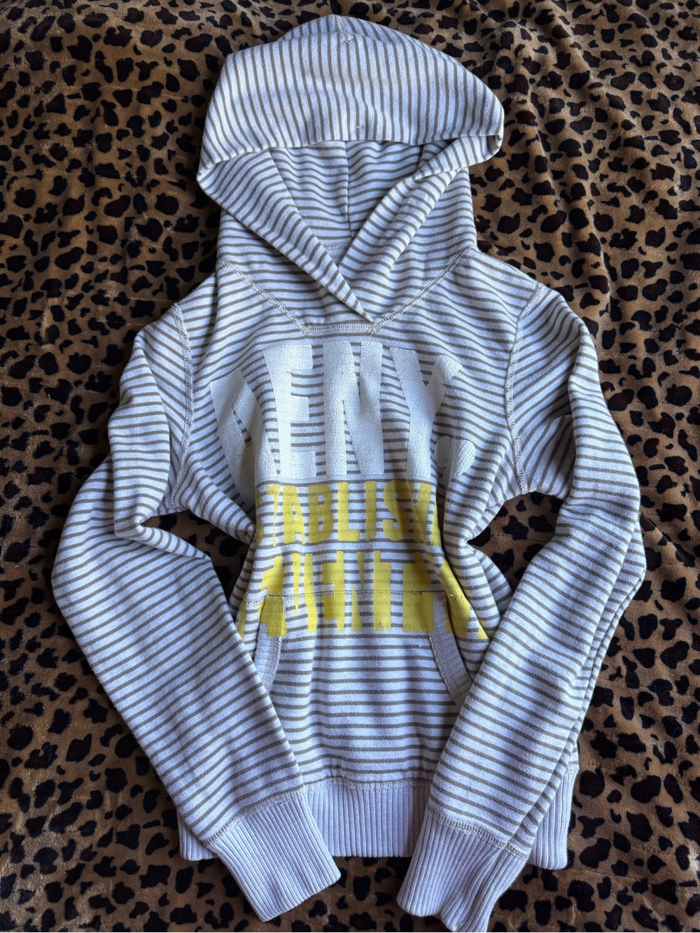 American Eagle Outfitters Gray and White Striped Hoodie with Yellow Graphic